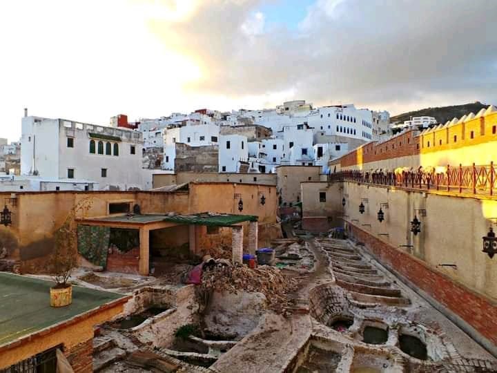 Dar Debagh in Tetouan, a historic tannery showcasing traditional Moroccan leather production.