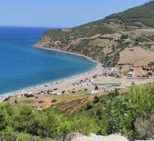 POI_Tamrabet